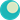 Paliperidone