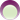 Dimethyl Fumarate